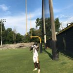 <span style="text-transform:none !important">Shakari Denson – CB</span><br /><span style="color:#999; font-size:85% !important">Claxton</span>