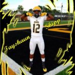 <span style="text-transform:none !important">Tay Shipp – WR</span><br /><span style="color:#999; font-size:85% !important">Worth Co.</span>